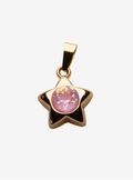 The Baby Star Charm